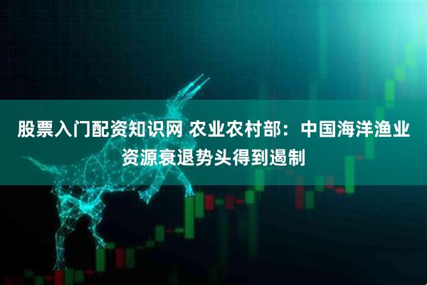 股票入门配资知识网 农业农村部：中国海洋渔业资源衰退势头得到遏制