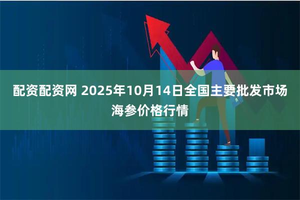 配资配资网 2025年10月14日全国主要批发市场海参价格行情