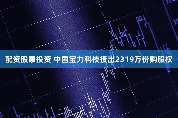 配资股票投资 中国宝力科技授出2319万份购股权