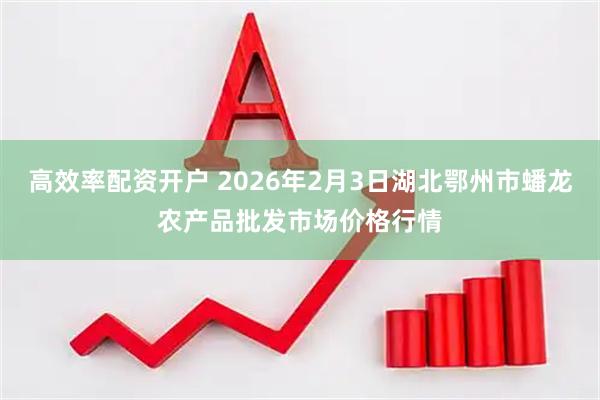 高效率配资开户 2026年2月3日湖北鄂州市蟠龙农产品批发市场价格行情